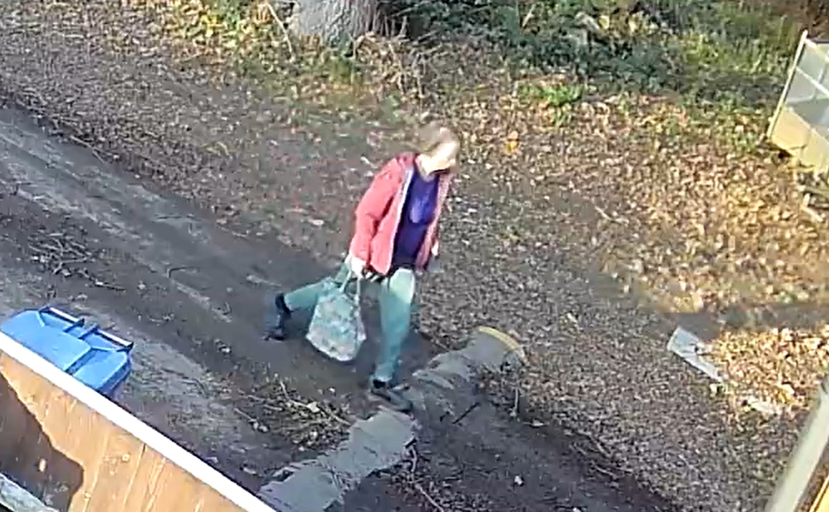 CCTV footage of Christine Murton's last known movements
